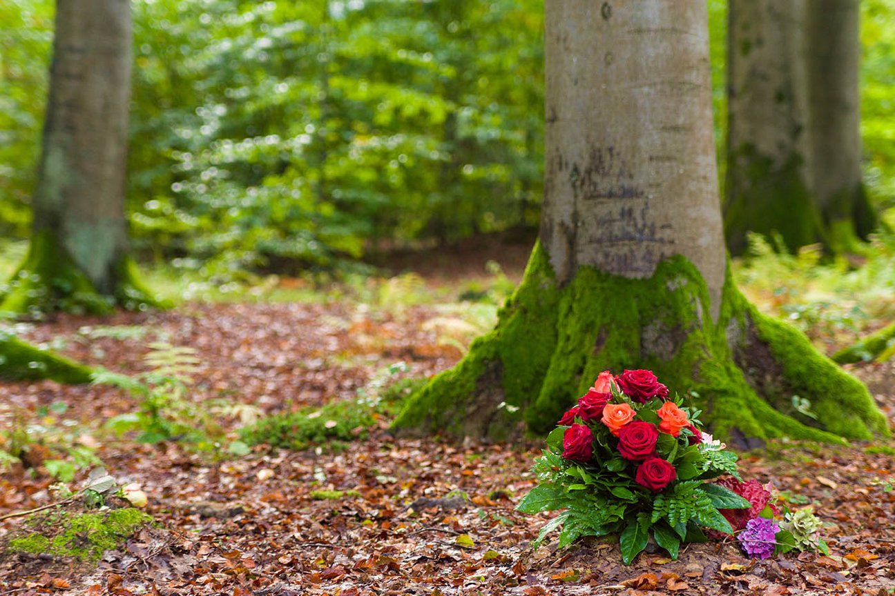 Interner Link zu Bestattung in der Natur