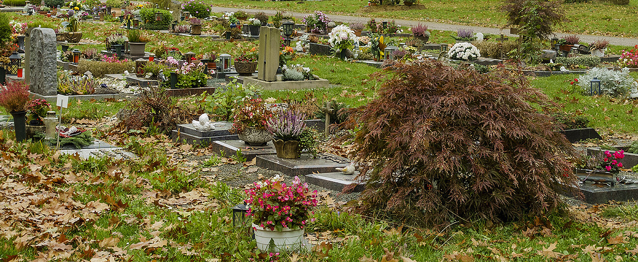 Urnenbeisetzung im Einzelgrab auf einem Friedhof