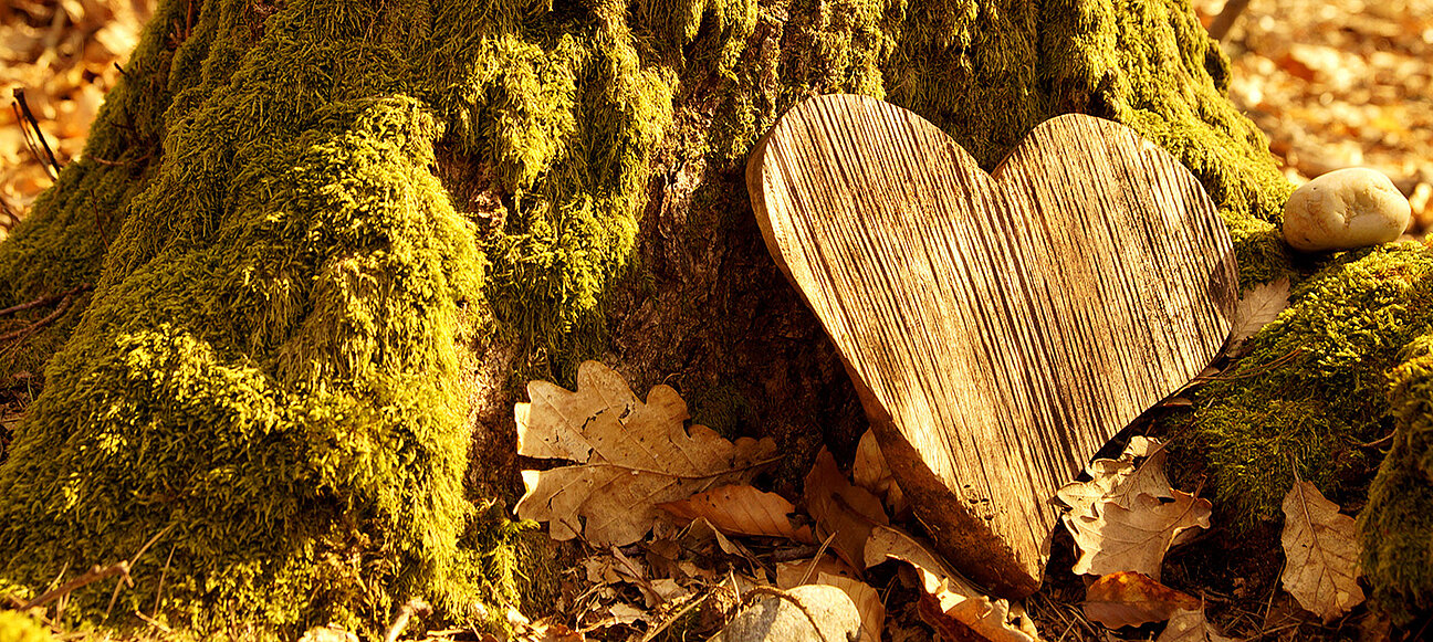 Bestattung in der Natur